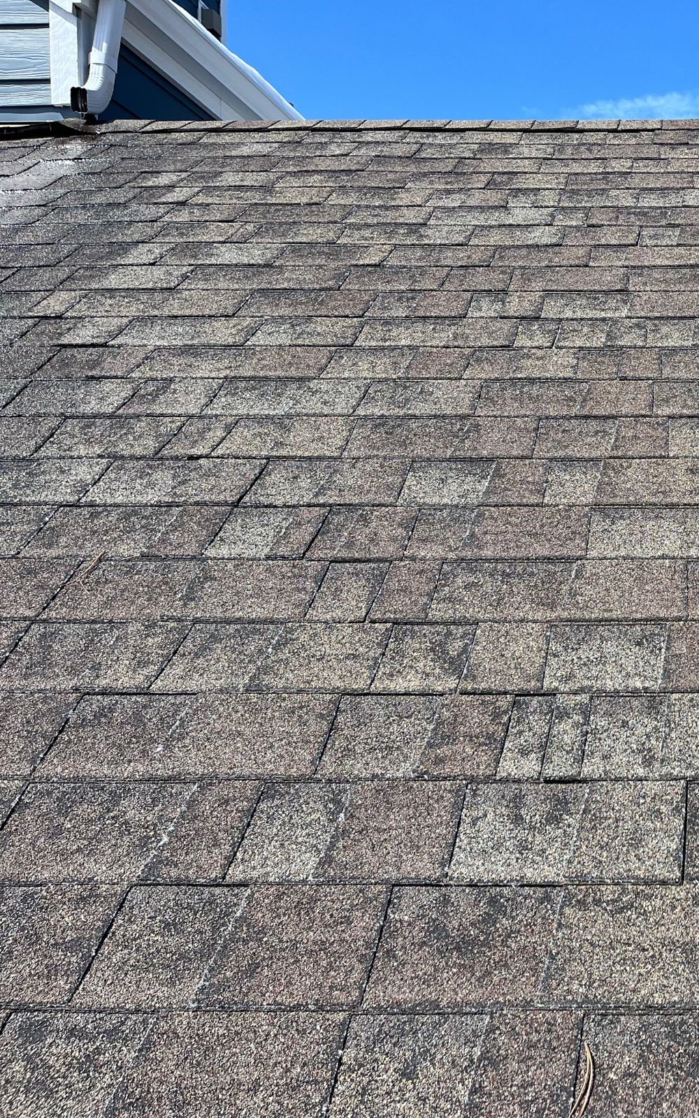 insurance claims advocate for Parker homeowners