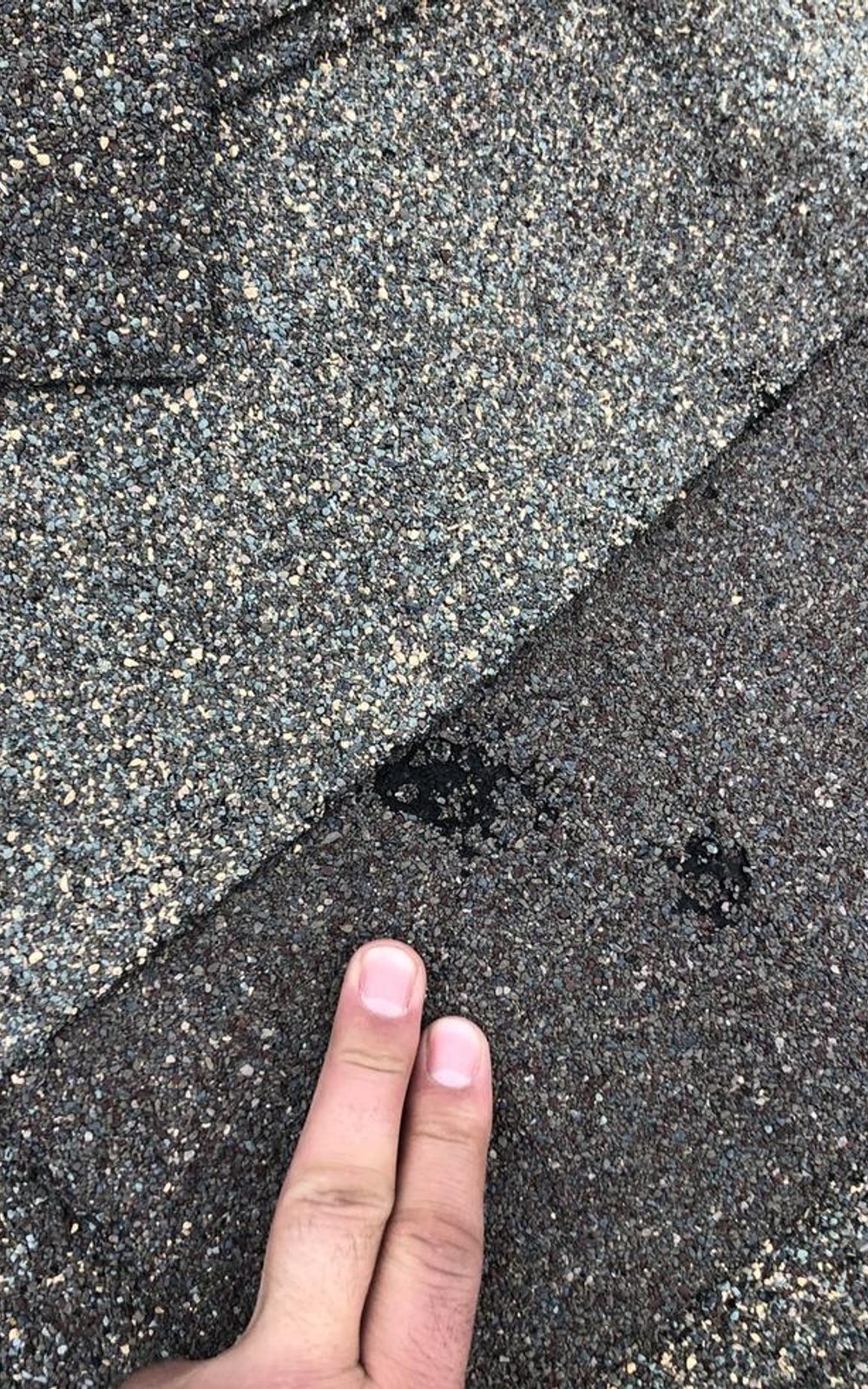 Fresh hail damage on a shingle roof, documented for an insurance claim